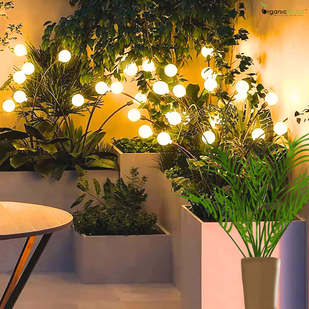 Solar Garden & Outdoor Lighting
